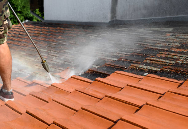 Professional Pressure Washing in Bremerton, WA